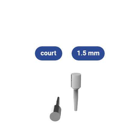 Scanbody Inlay Core