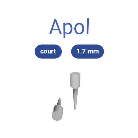 Scanbody Inlay Core | 3D TOTEM – 3DTOTEM